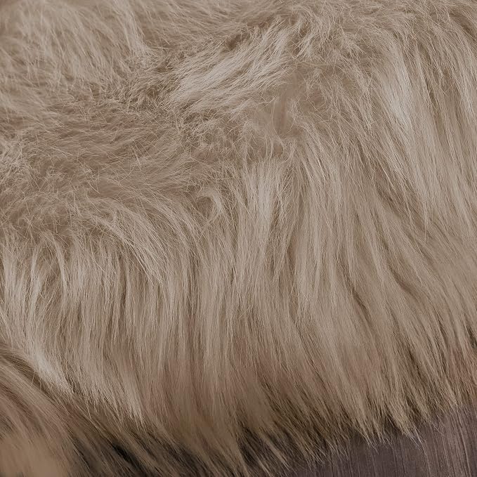 Latepis 2x3 Brown Beige Small Faux Fur Rug Fluffy Furry Rugs Throw Rug Washable - Image 7