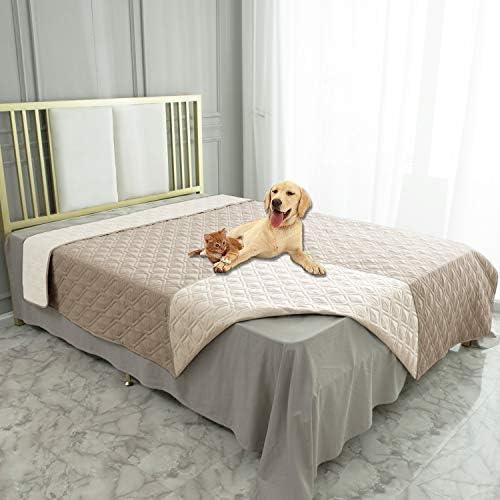 Beds & Furniture