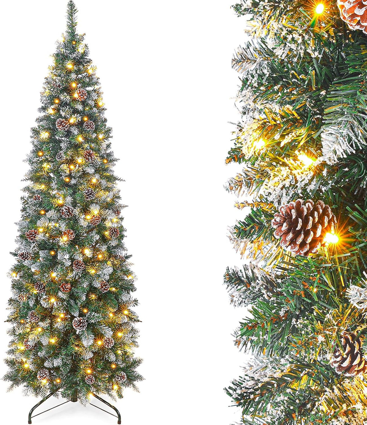 Trees
