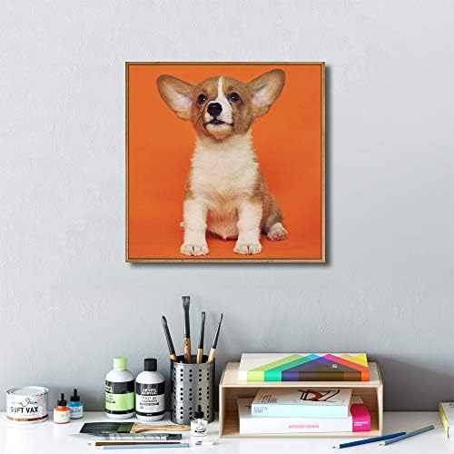 NWT Custom Framed Canvas Prints with Your Photo for Pets, Personalized Canvas Wall Art for Living Room, Bedroom - 16x16 inches