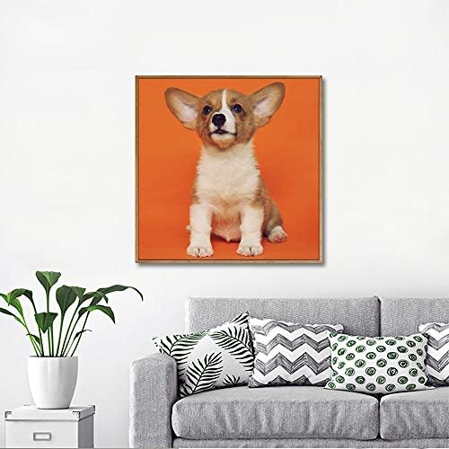 NWT Custom Framed Canvas Prints with Your Photo for Pets, Personalized Canvas Wall Art for Living Room, Bedroom - 16x16 inches