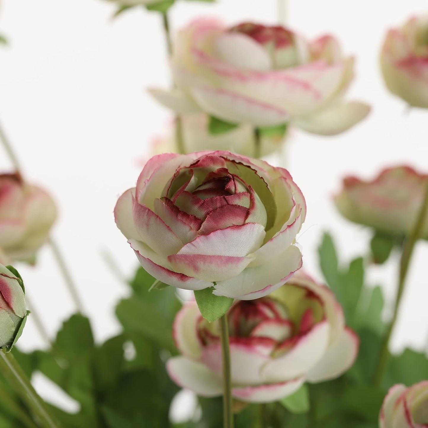 Artificial Silk Flowers Persian Buttercup Bicolor Ranunculus Flower 5 Pcs,Suitable for core Decoration,Wedding Floral Creation,Flower Arrangement DIY Project,Interior Decor（Green）