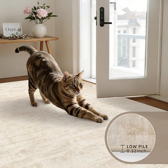 Round Area Rug Living Room: 6ft Washable Carpet Retro Beige | Vintage Boho - Image 6