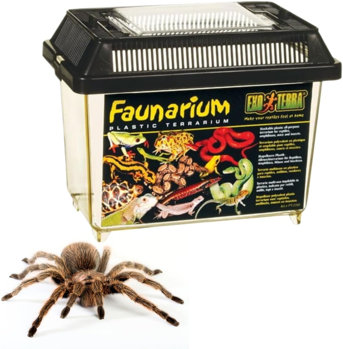 Exo Terra Faunarium, Plastic Reptile Terrarium, Large, PT2265
