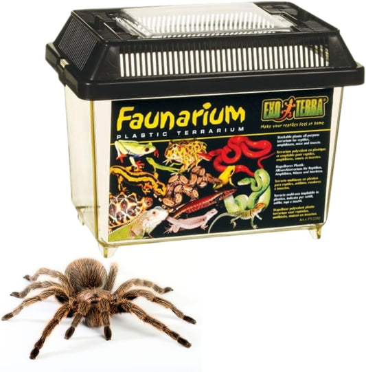 Exo Terra Faunarium, Plastic Reptile Terrarium, Small, PT2255