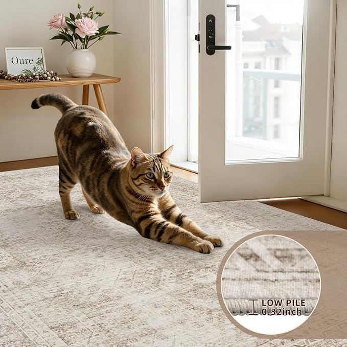Round Area Rug Living Room: 6ft Neutral Washable Carpet Rug Brown | Vintage - Image 6