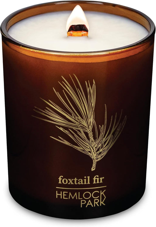 Hemlock Park Wood Wick Candle Handcrafted with Natural Coconut Wax and Essential Oils (Amber & Gold 7.2 oz, Foxtail Fir)