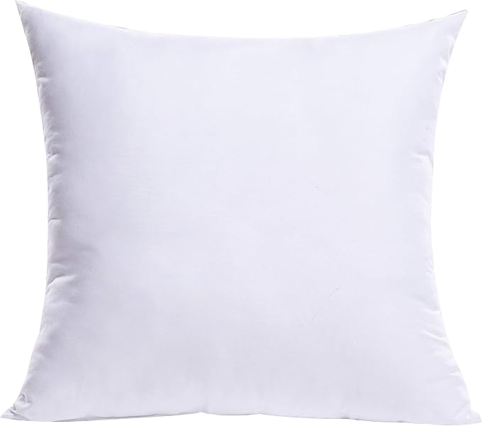 MIULEE 21x21 Inch Throw Pillow Insert by MIULEE