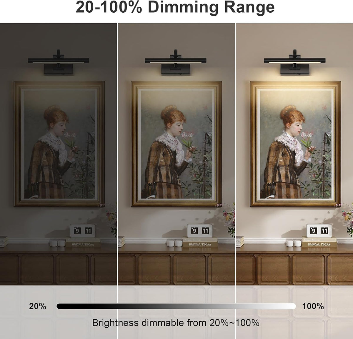 Battery Operated Picture Lights for Wall Black Art Light Wireless Gallery Lights with Timer and Remote 12 Inch 2W Warm White