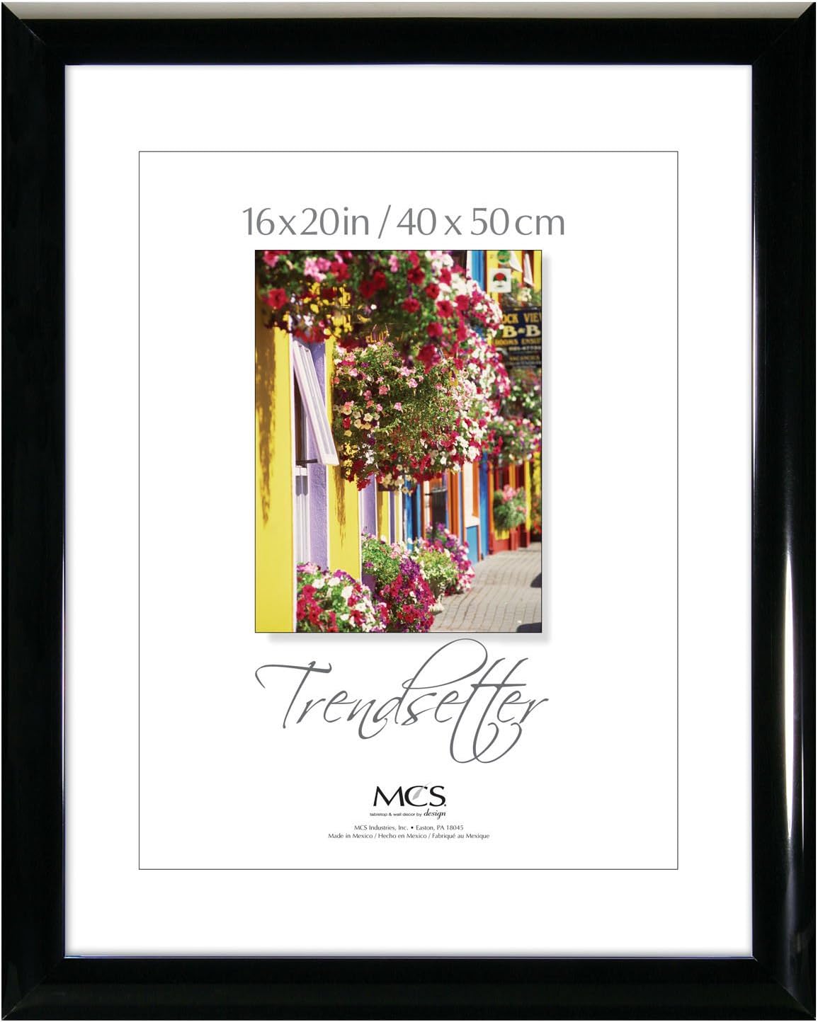 MCS Trendsetter 16x20 Inch Poster Frame, Black (27620)