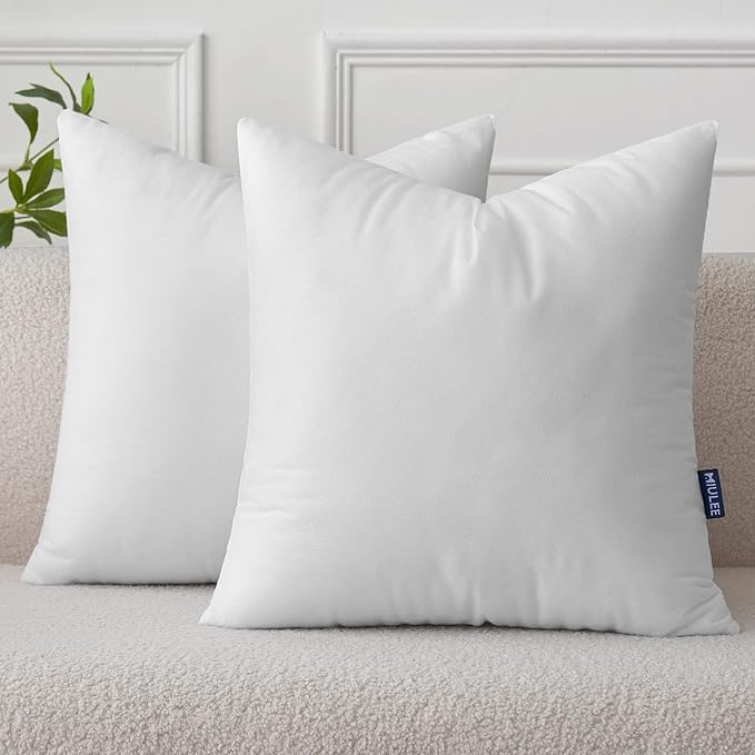 MIULEE Pillow Insert 16x16 Inch Set of 2, Decorative Throw Pillow Inserts | by MIULEE