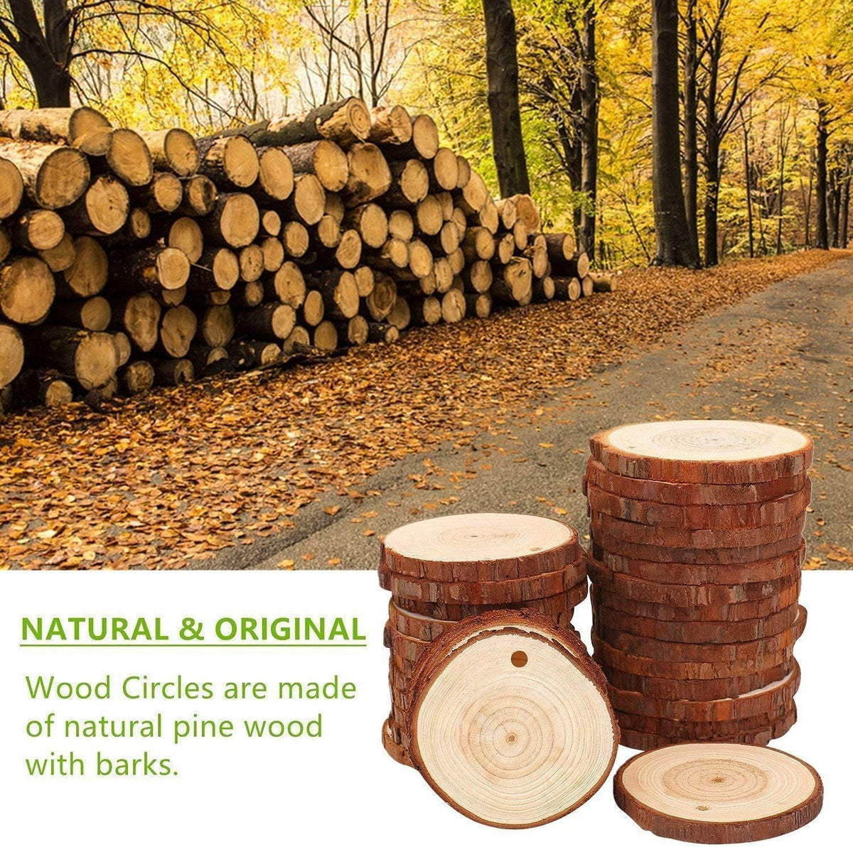 Natural Wood Slices TICIOSH Craft Unfinished Wood kit Predrilled with Hole Wooden Circles for DIY Crafts Wedding Decorations Christmas Ornaments Arts Wood Slices (50 Pcs 2.8-3.1 inches)