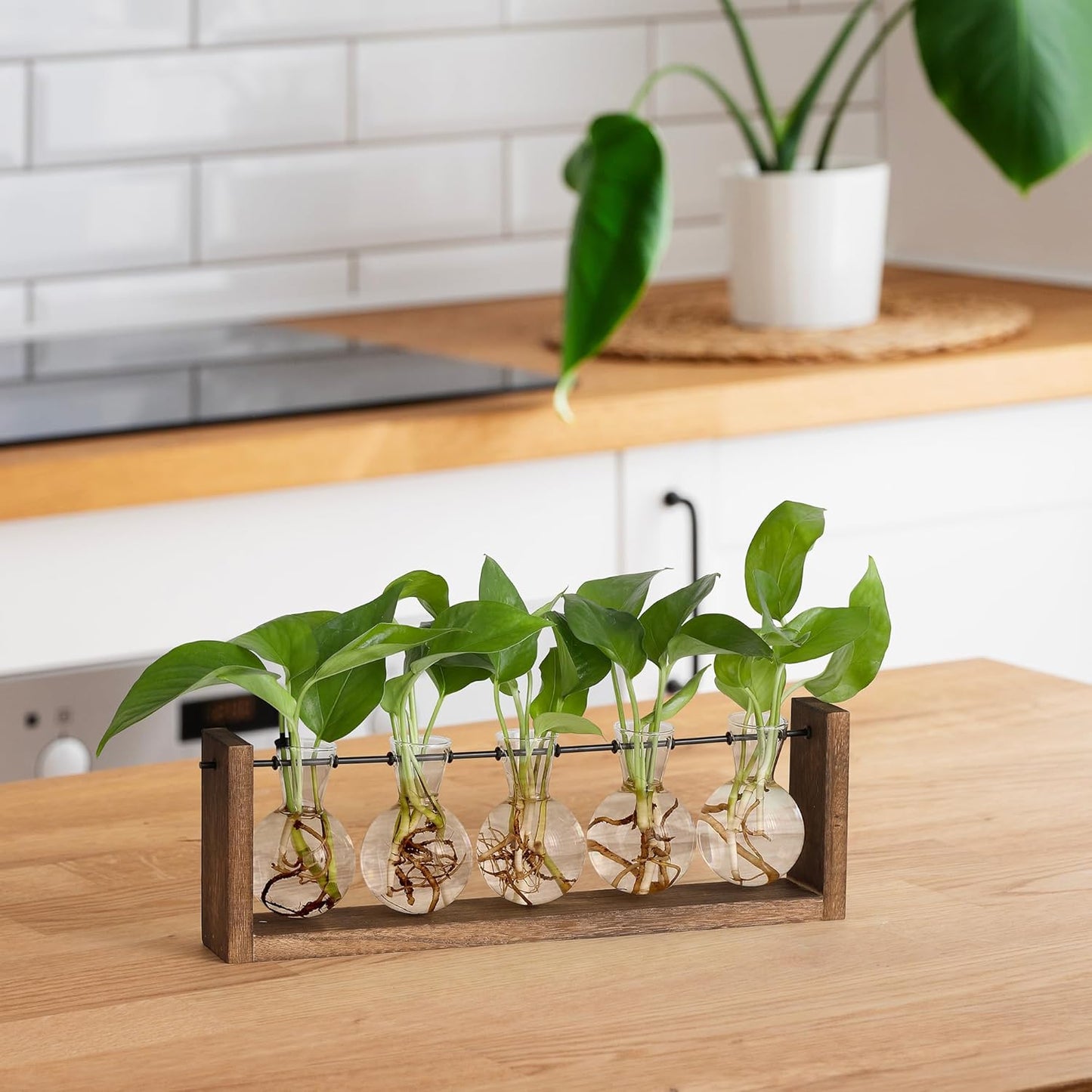 YIBOT Plants Propagation Stations,Plant Terrarium with Wooden Stand,Wall Hanging Glass Planter Plant Propagation Vase for Indoor Office Home Garden Decor Plant Lover Gifts for Women-5 Bulbs