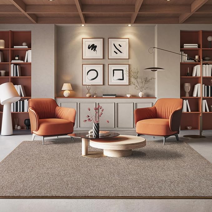4x6 Area Rugs for Living Room Non Slip Dorm Bedroom Rug, Matte Brown | Modern - Image 6