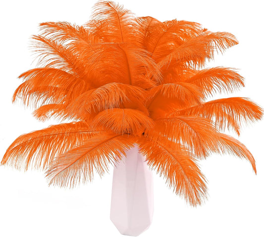THARAHT Orange Ostrich Feathers 24pcs Natural Bulk 8-10Inch 20cm-25cm for Crafts Wedding Party Centerpieces Halloween and Home Decoration Feathers