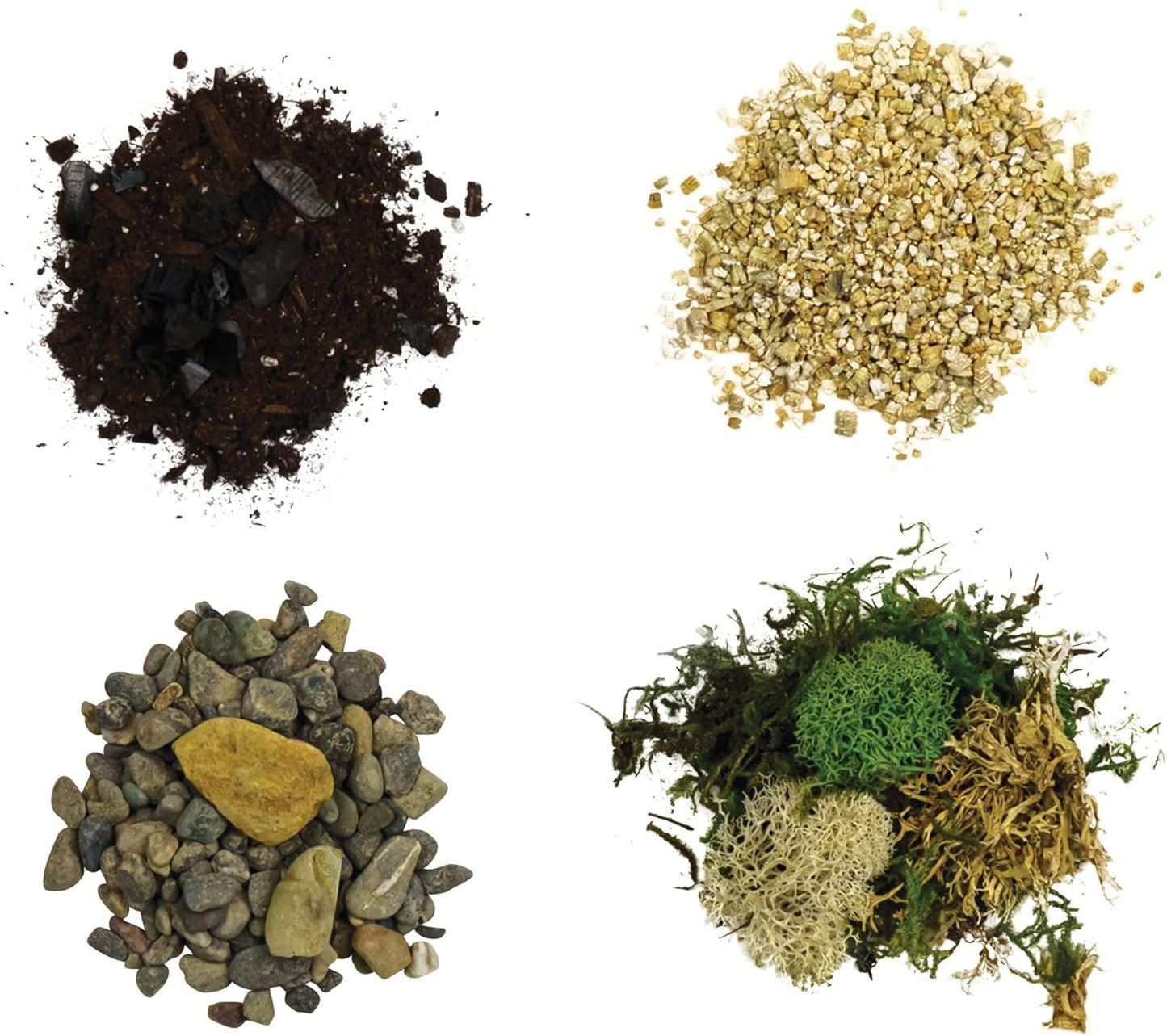 Cute Farms Terrarium Starter Kit | Moss, Vermiculite, Soil, Pebbles, Plant Food, Finishing Tools, Build and Care Guide | DIY Succulent Terrarium for Adults and Kids (Large + Live Plants)