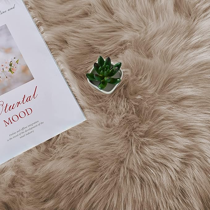 Latepis 2x3 Brown Beige Small Faux Fur Rug Fluffy Furry Rugs Throw Rug Washable - Image 6