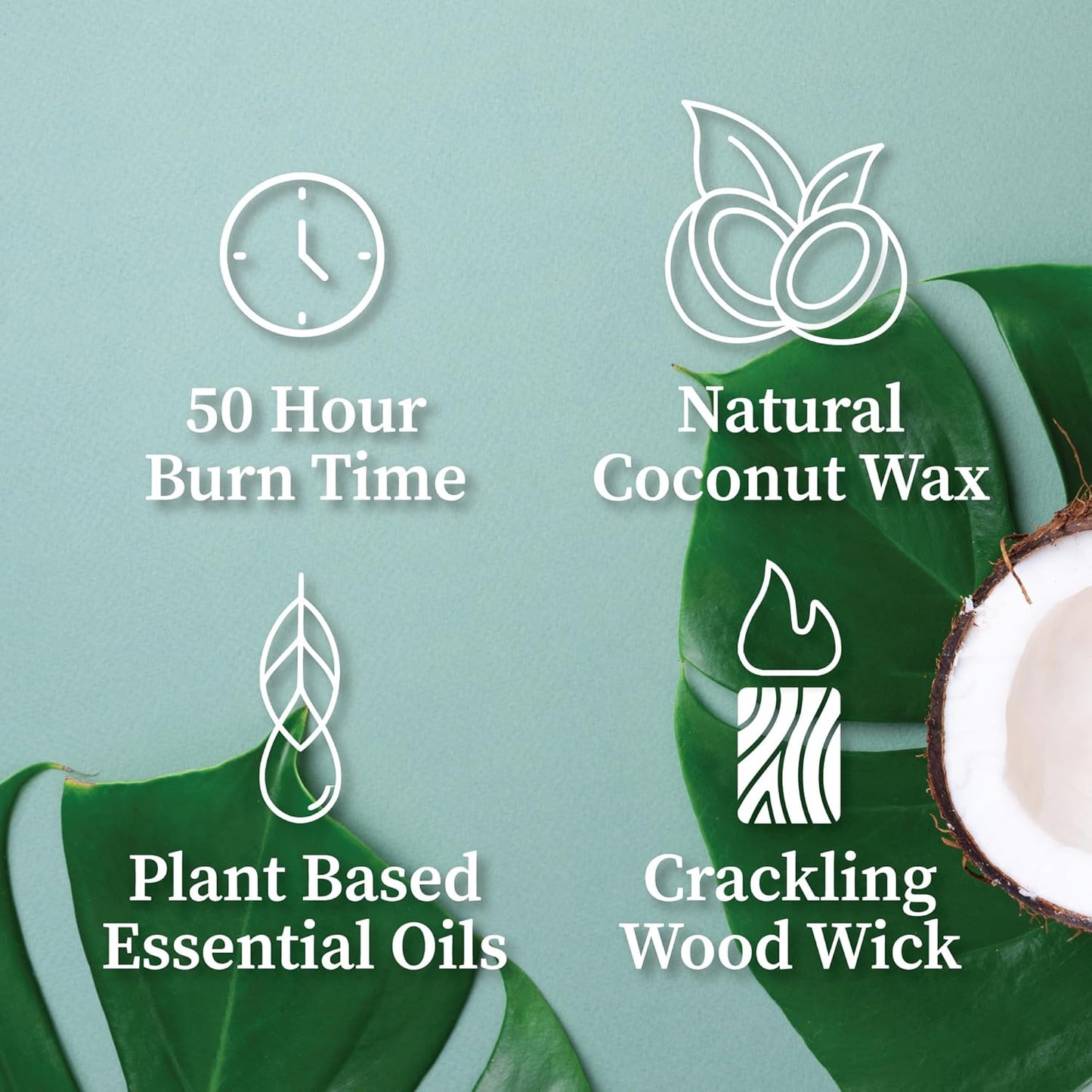 Hemlock Park Wood Wick Candle Handcrafted with Natural Coconut Wax and Essential Oils (Amber & Gold 7.2 oz, Yuzu Citrus)