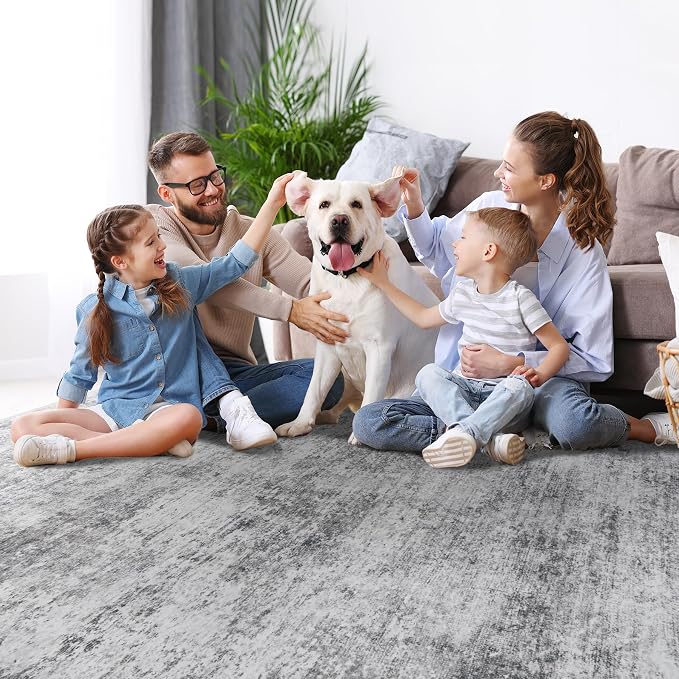 Aelenmu 5x7 Area Rugs for Living Room Bedroom Dining Room Washable Grey | Soft - Image 8