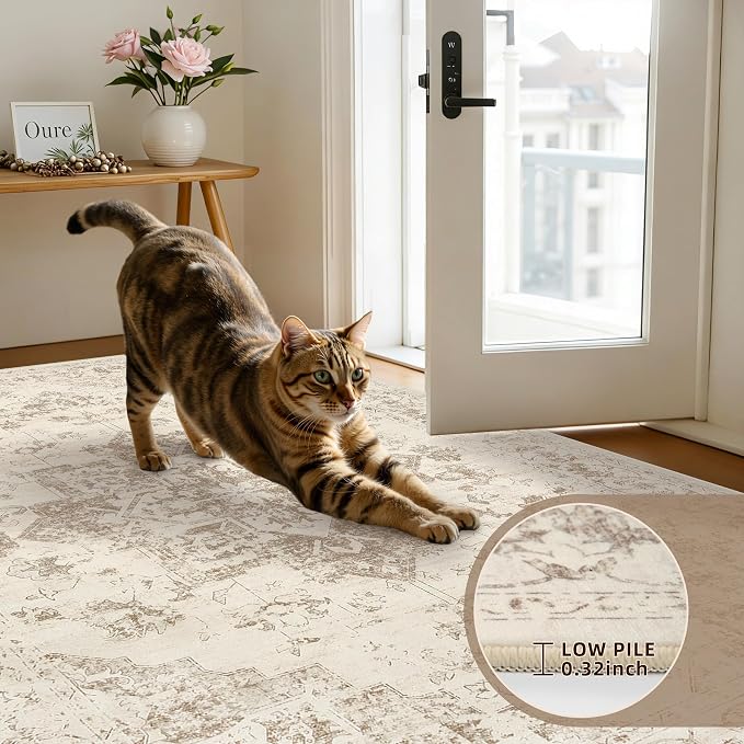 6x9 Area Rugs Living Room: Bedroom Washable Carpet Beige/Ivory | Vintage Boho - Image 7