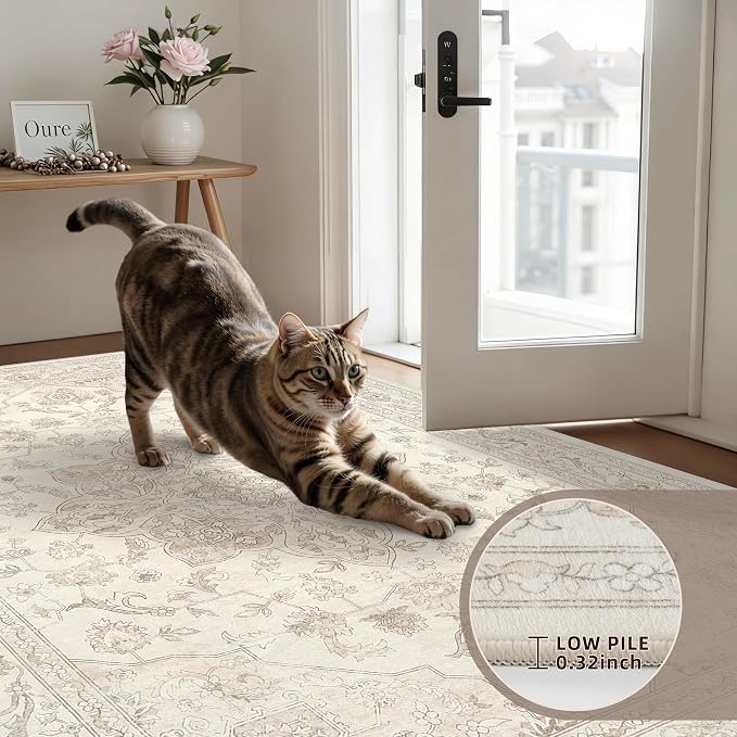 5x7 Area Rugs Living Room: Bedroom Washable Carpet Beige White | Vintage Boho - Image 7
