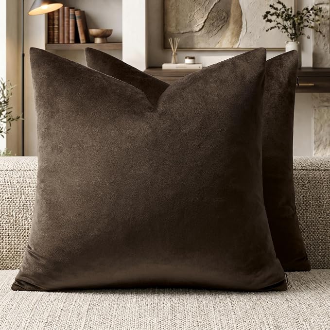 GIGIZAZA Brown Velvet Pillow Covers 22x22 Decorative Pillows Pack of 2 | Throw by GIGIZAZAFocusingonhomedecoration