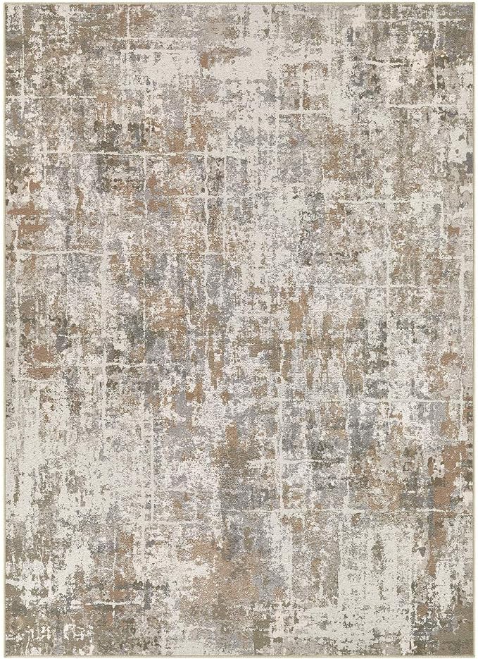 DMOYEST Area Rug Living Room Rugs 5x7 Washable Abstract Carpet | Neutral Modern - Image 8